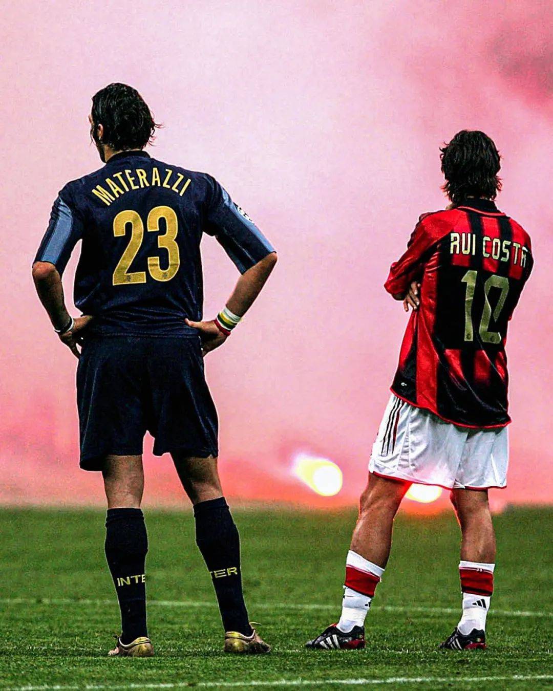 活力的阵容 活力的阵容